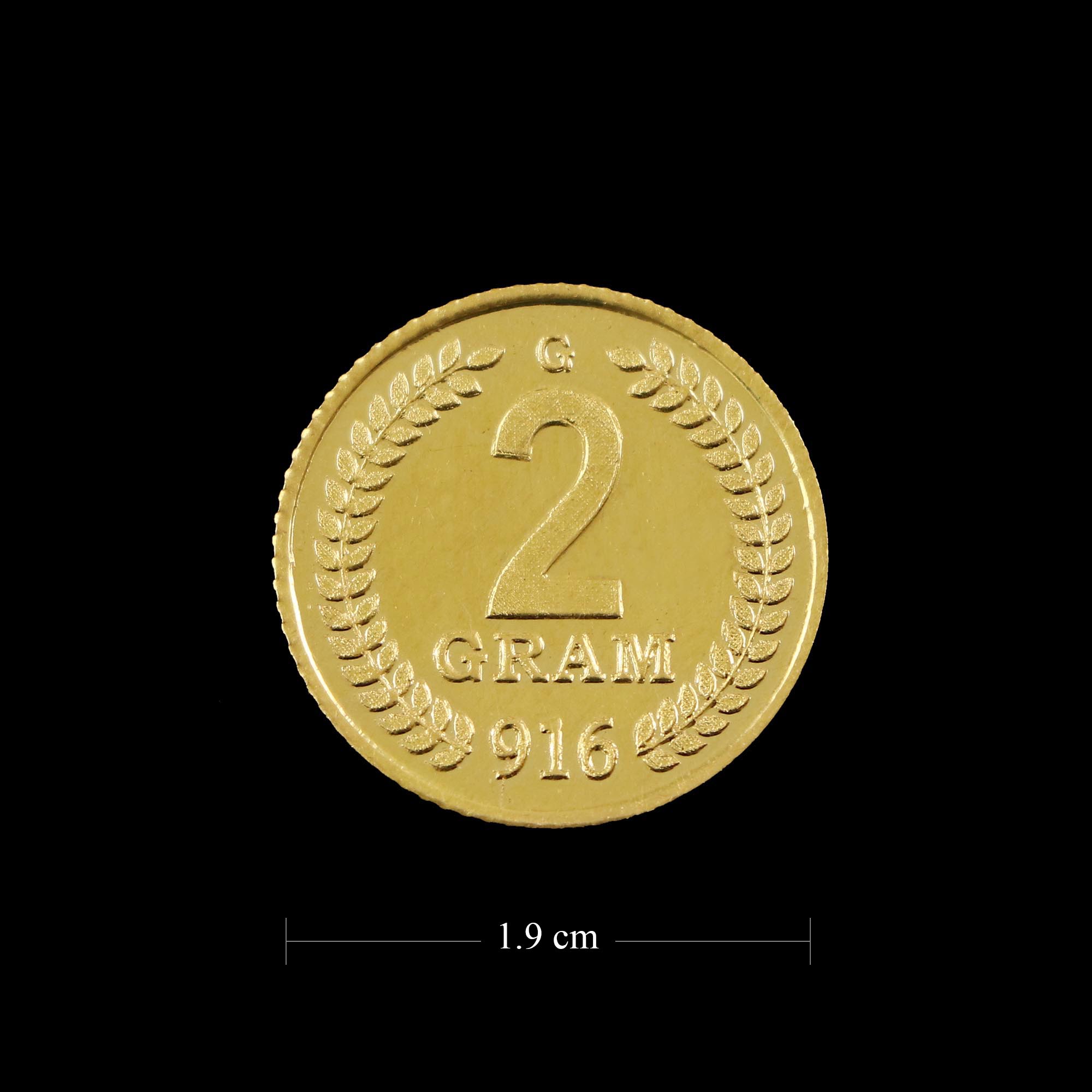 22 KT GOLD 2 GM COIN